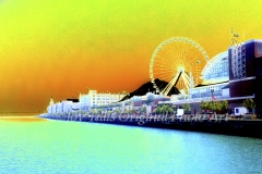 Navy Pier Delite