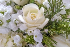 White Roses