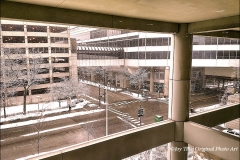 Rush Snow Day