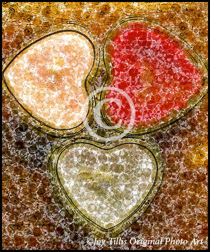 Painted Valentines #14 by Joy Tillis Original Photo Art