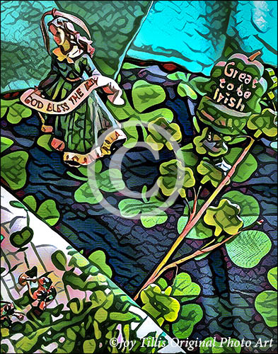 Irish #1 by Joy Tillis Original Photo Art